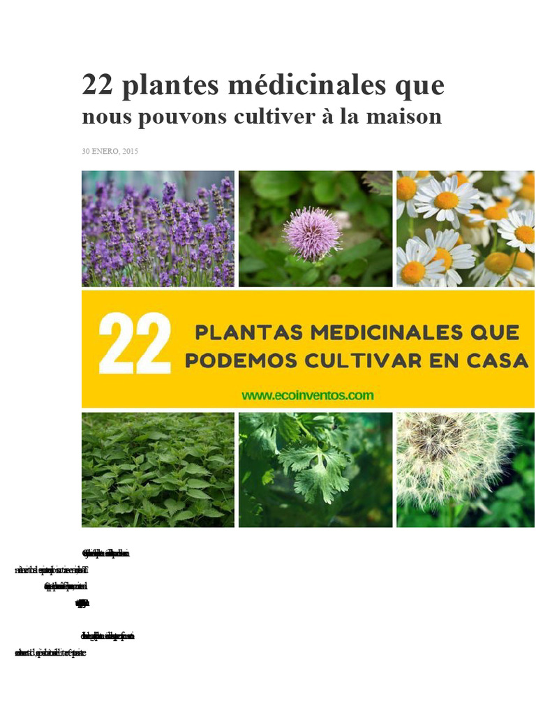 Plantes médicinales et leurs influences | Plante médicinale | Herbes et champignons médicinaux