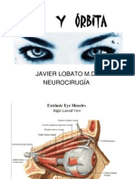 Ojo y orbita