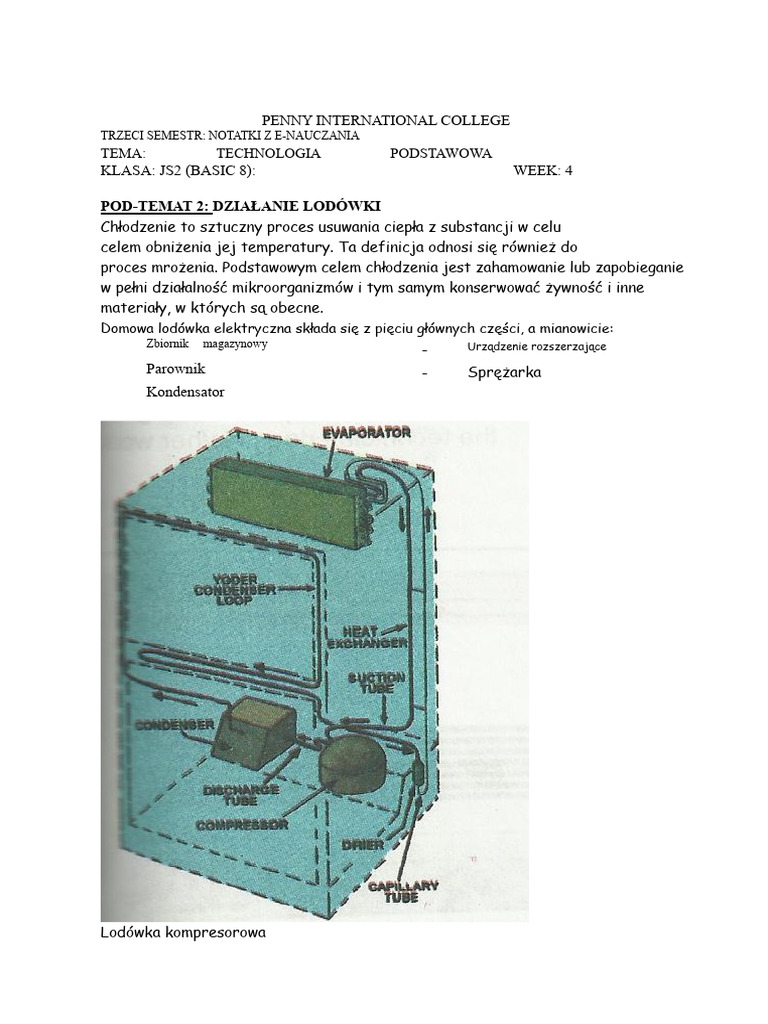JSS 2 Basic Technology Tydzien 4 | PDF