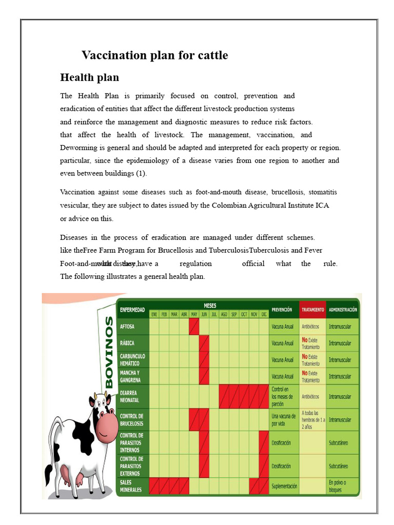 Cattle Vaccination and Health Plan Guide | PDF | Avian Influenza | Sheep