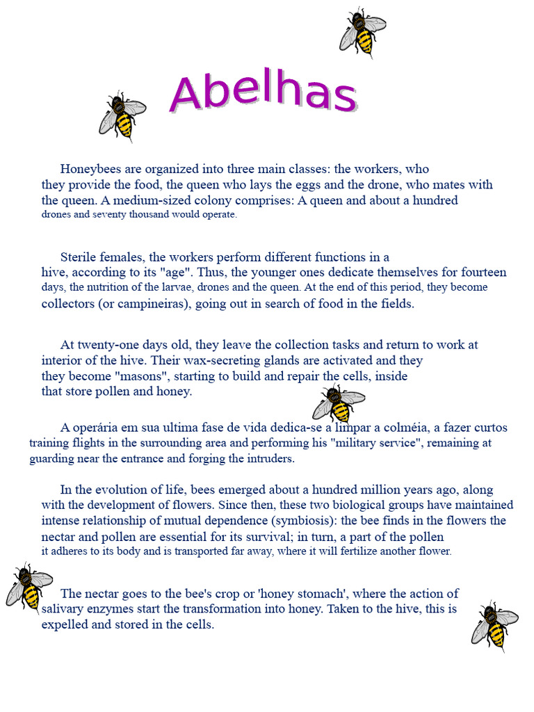Understanding Honeybee Colony Structure | PDF | Honey Bee | Zoology