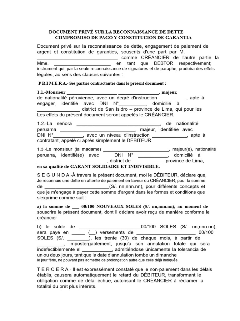 Reconnaissance de dette et garanties | PDF | Débiteur | Dettes