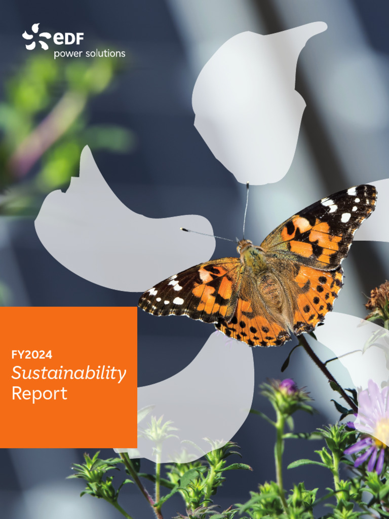 EDFps Sustainability Report FY2024 | PDF | Renewable Energy ...