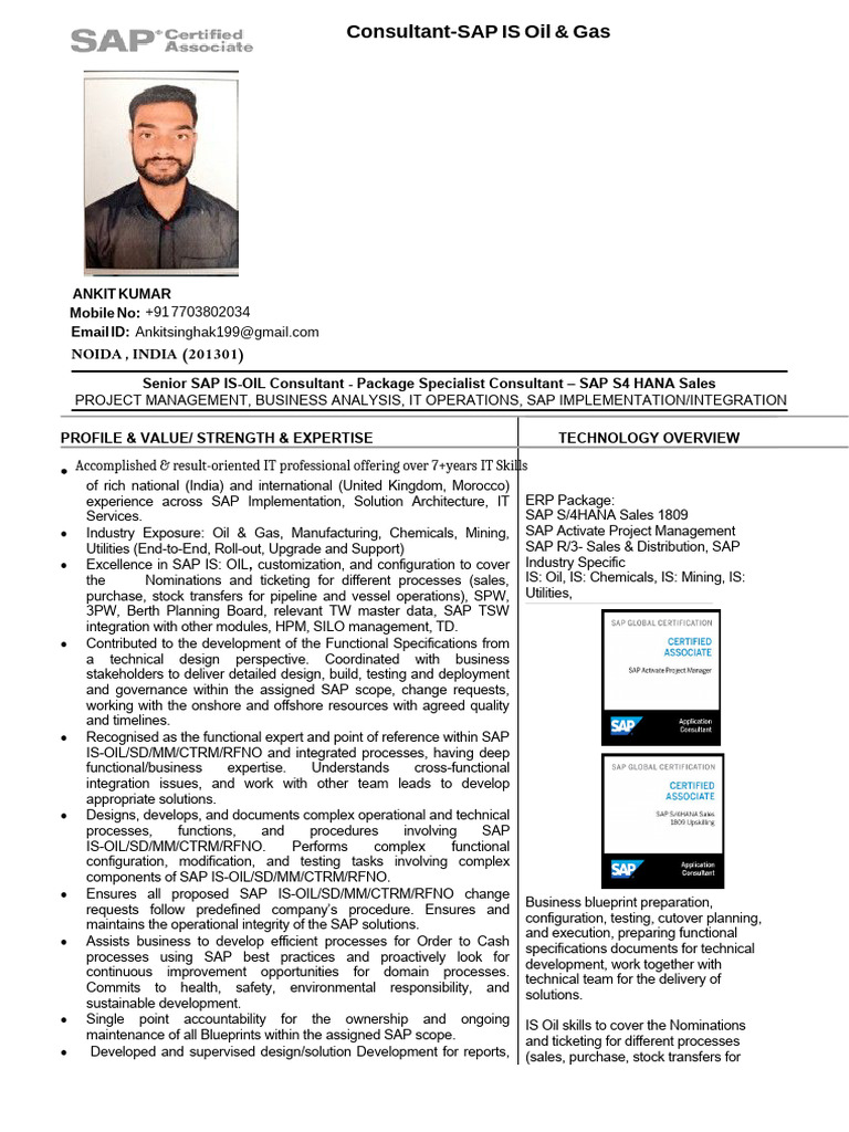 Senior SAP IS-OIL Consultant Profile | PDF | Cloud Computing ...