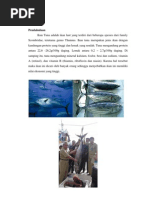 Download Makalah Ikan Tuna by FadHieL SN95726213 doc pdf
