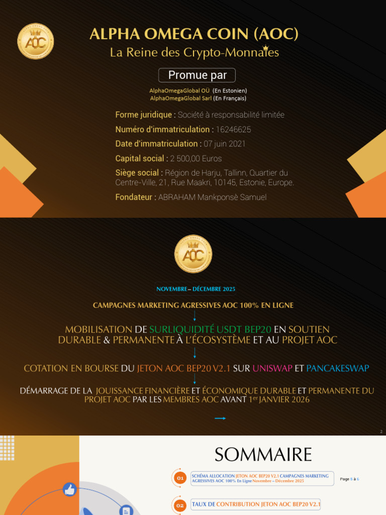 PDF V1 FR Campagnes Marketing Agressives AOC 100 - en Ligne | PDF