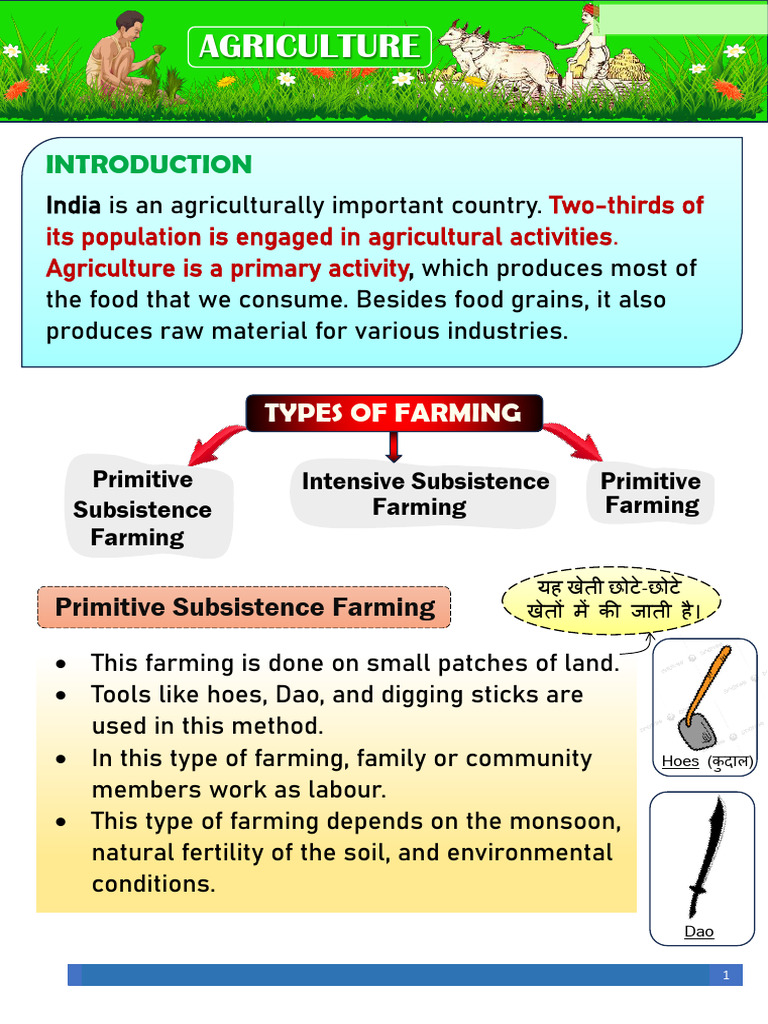 Agriculture | PDF | Agriculture | Intensive Farming