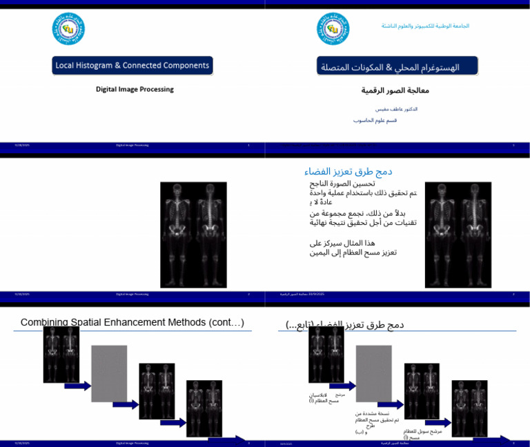 Image Processing Techniques Overview | PDF | Computer Graphics | Film ...