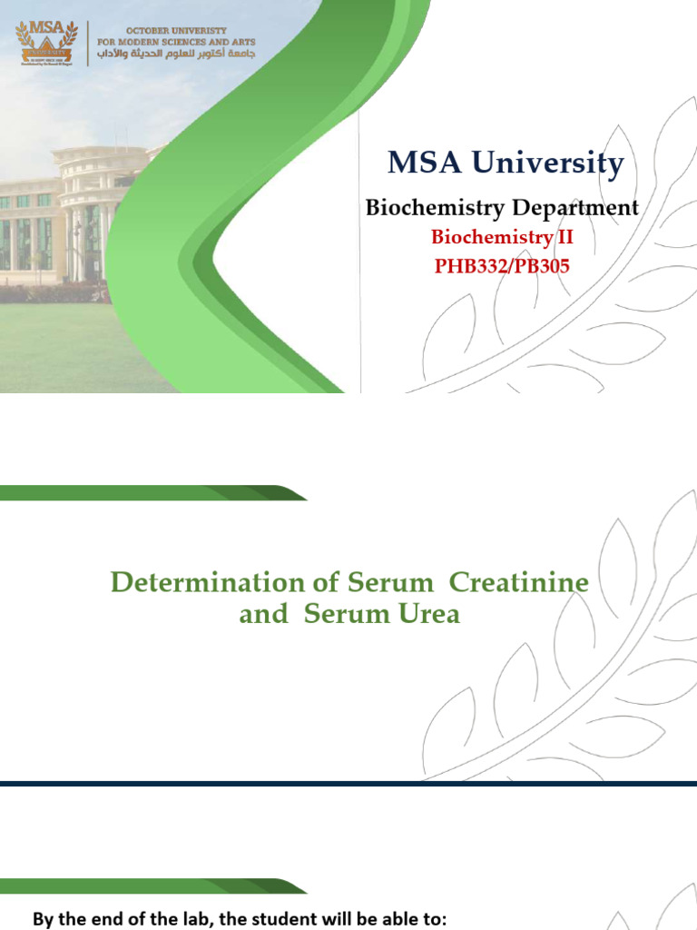 Serum Creatinine and Urea Analysis Lab | PDF | Creatinine | Kidney
