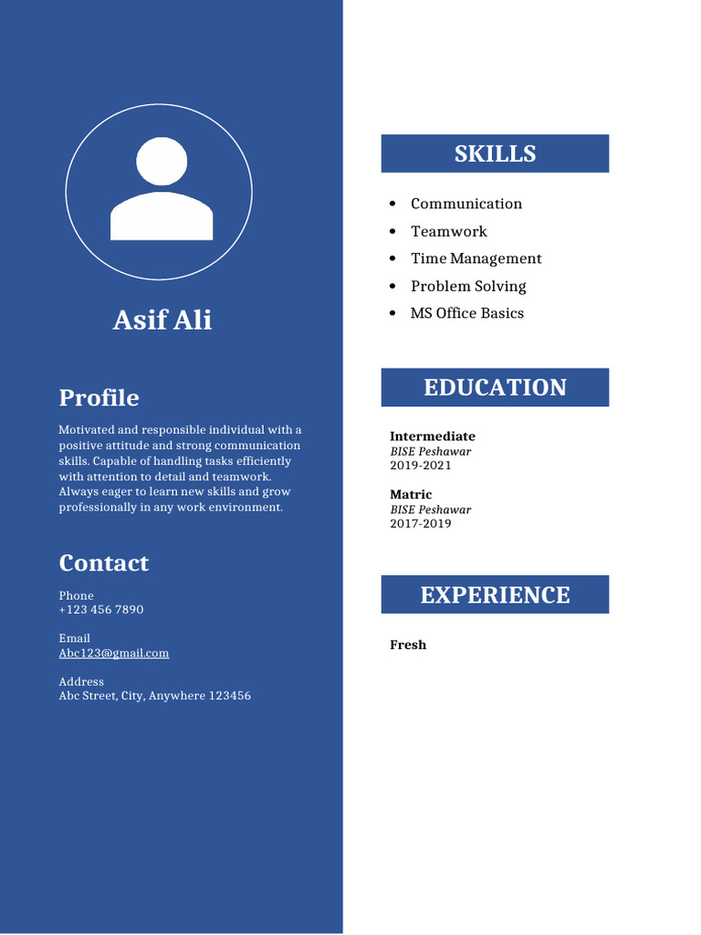 Motivated Professional Profile Summary | PDF