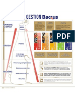 Backus-ModeloDeGestion