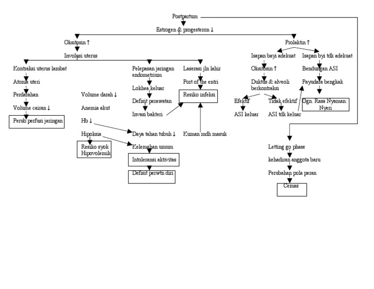 Pathway Postpartum Normal vrogue.co