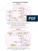 22 Pentose Phosohate Pathways 2