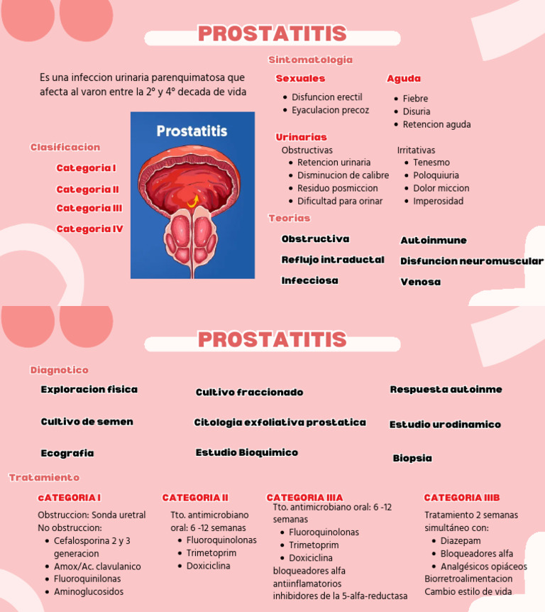 Guía Completa sobre Prostatitis | PDF | Enfermedades y trastornos ...