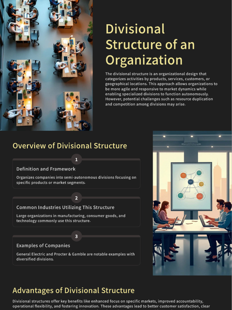 Understanding Divisional Structure in Organizations | PDF | Innovation ...