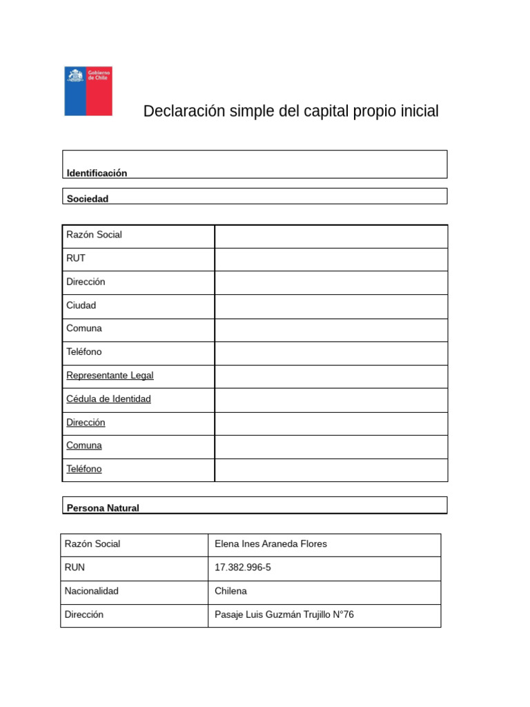 Declaración de Capital Propio Inicial | PDF