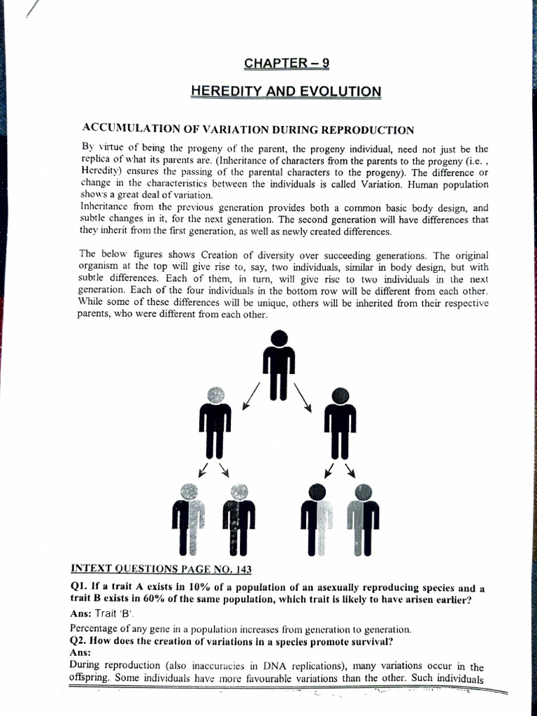 Heredity Notes | PDF