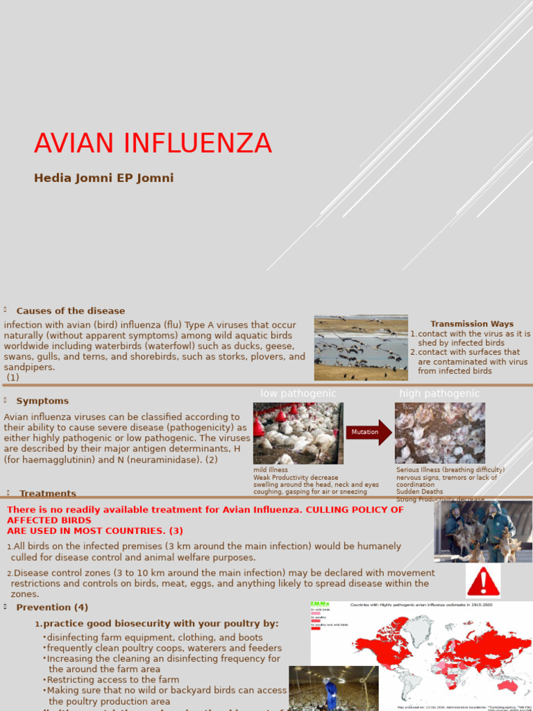 Avian Influenza: Causes, Symptoms, and Control | PDF | Avian Influenza ...