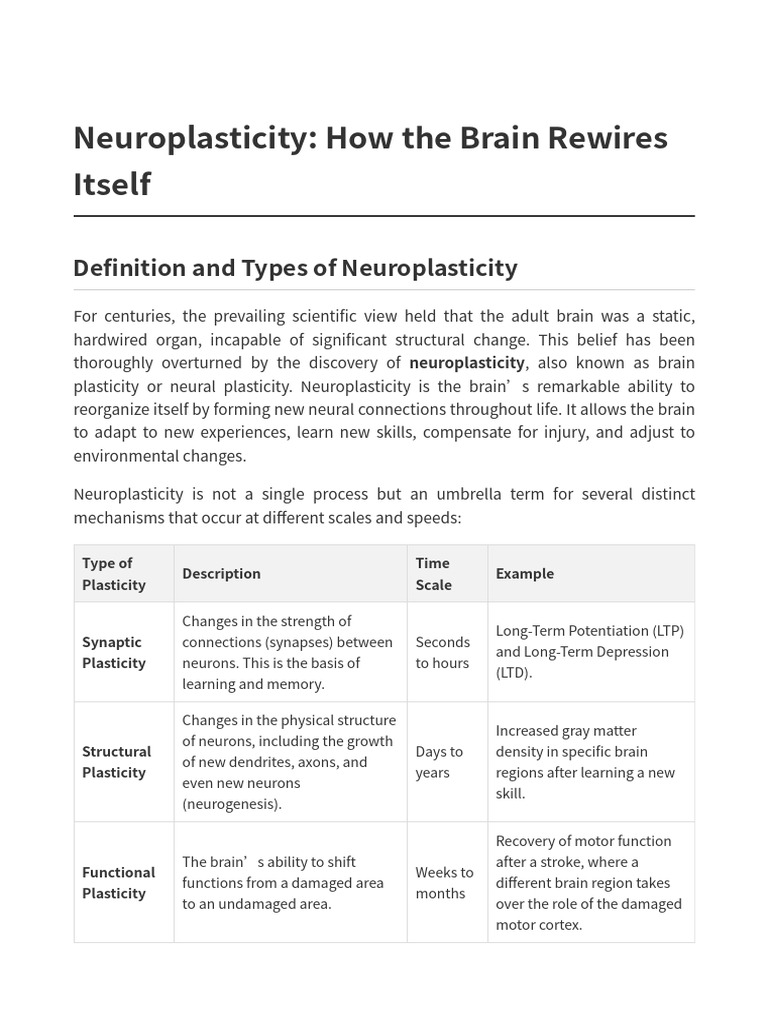 Understanding Neuroplasticity Mechanisms | PDF | Neuroplasticity | Brain