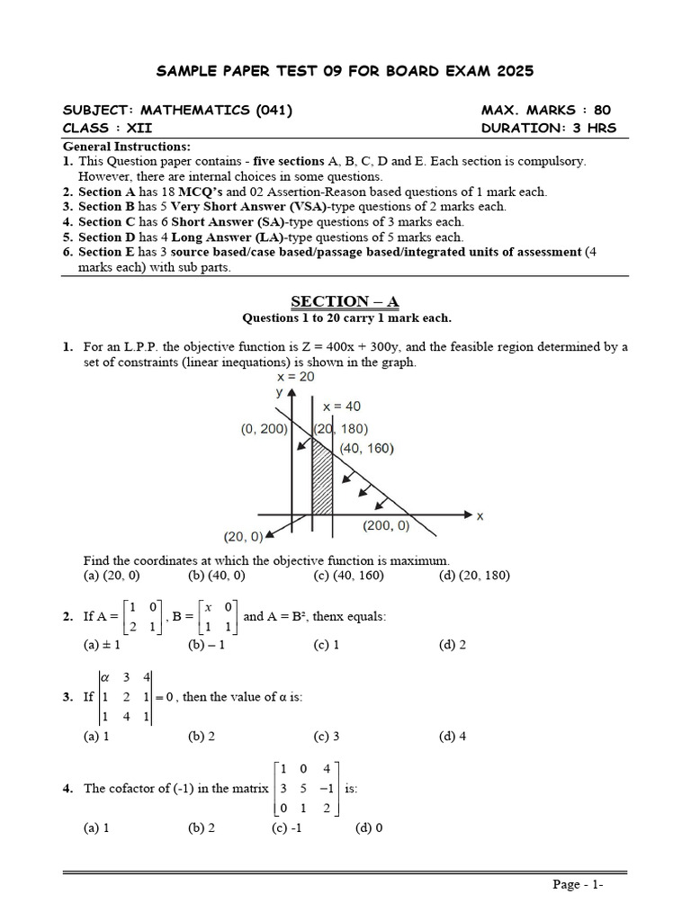 Mathematics Sample Paper 2025 | PDF | Equations | Mathematical Concepts