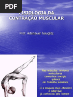 Fisiologia Da Contracao Muscular