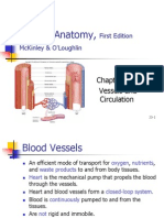 Ch23 Vessels