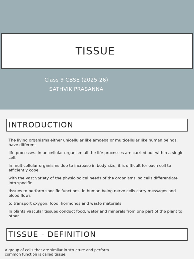 Tissue (New) | PDF | Epithelium | Granulocyte