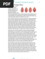 Download Permata Yang Hilang Bahagian 2 by Nafkah Batin SN95741250 doc pdf