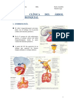 Anatomía clínica del árbol traqueobronquial