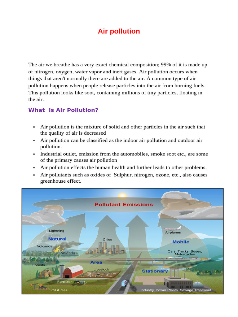 Understanding Air Pollution and Its Effects | PDF | Air Pollution ...