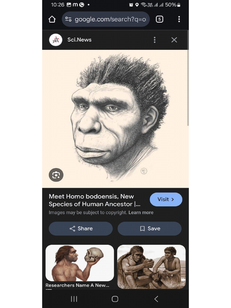 Evolution 1 | PDF