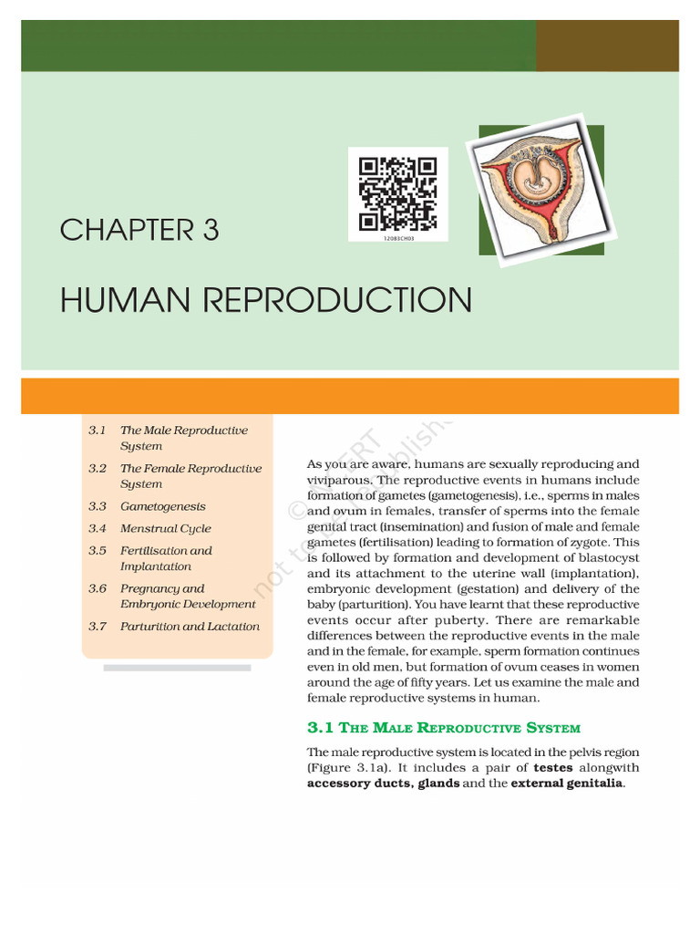 NCERT Chapter Wise Human Reproduction | PDF