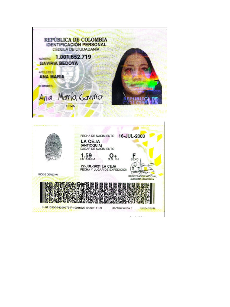 Cedula | PDF