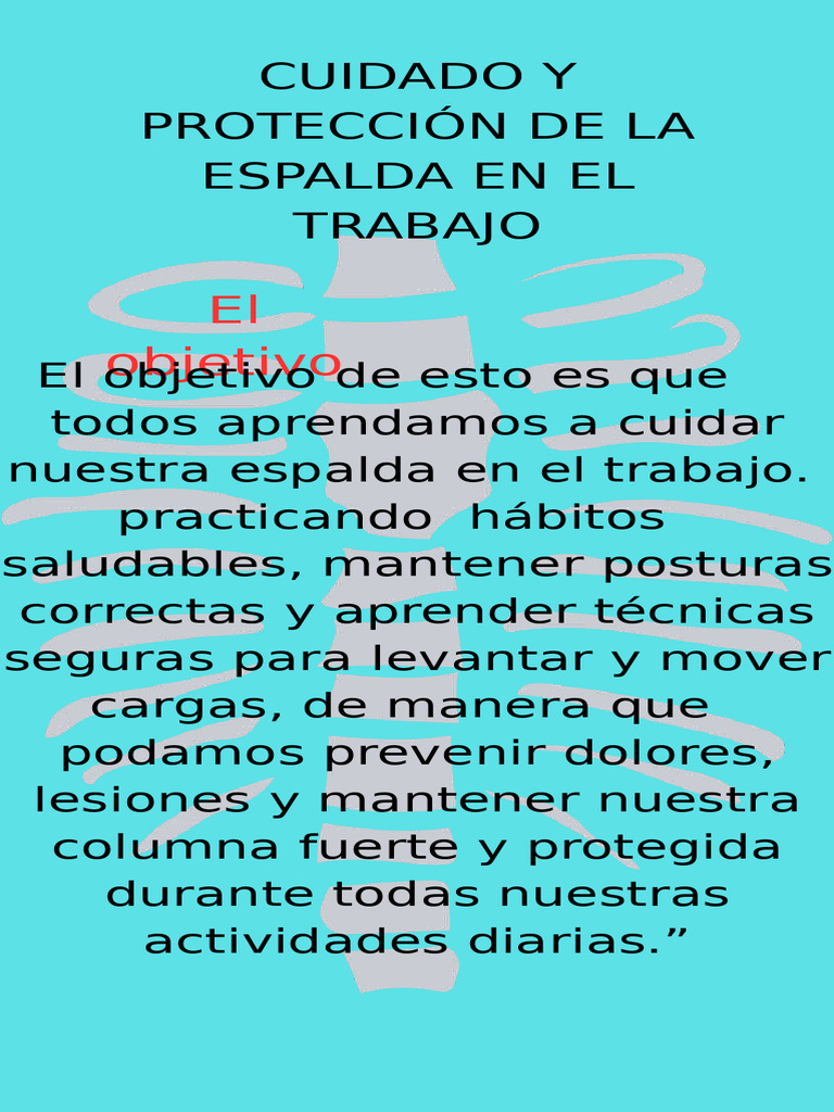 Cuidado y Protección de La Espalda en El Trabajo 143 | PDF | Sistema ...