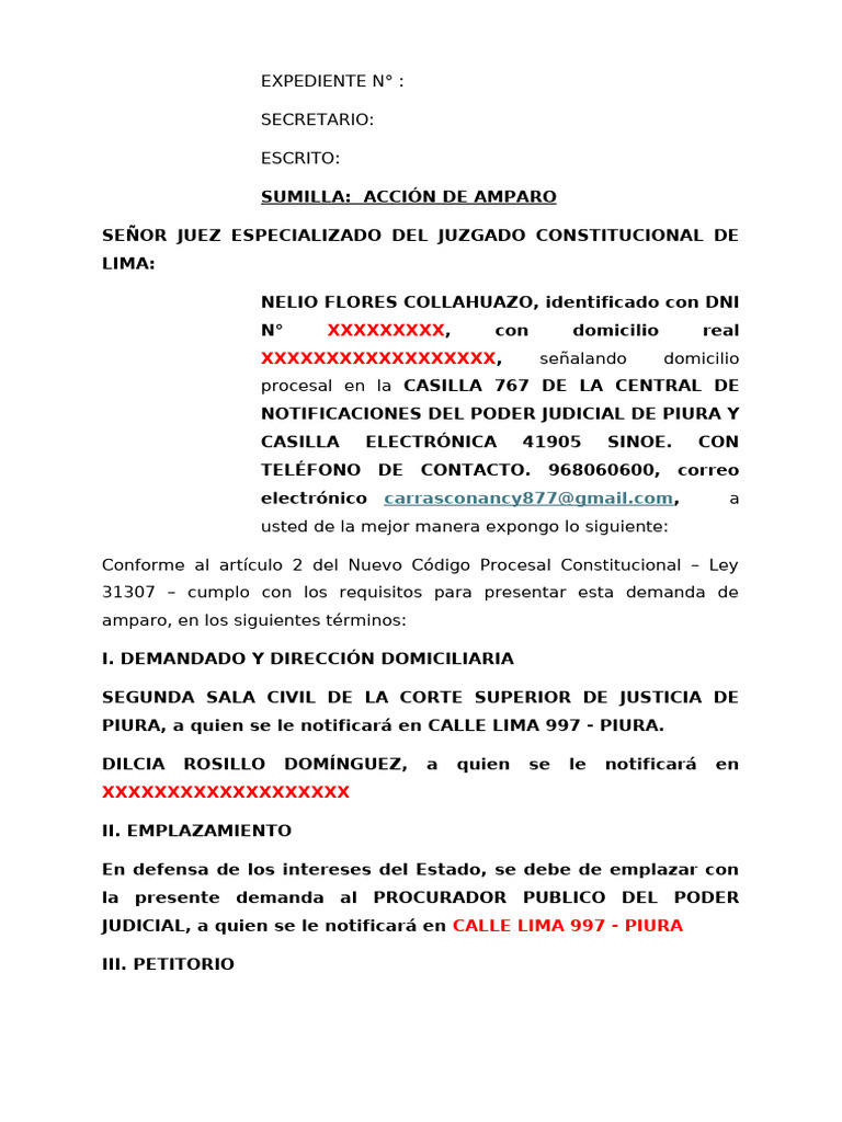 Demanda de Amparo por Derecho a Propiedad | PDF | Jurisdicción | Debido ...