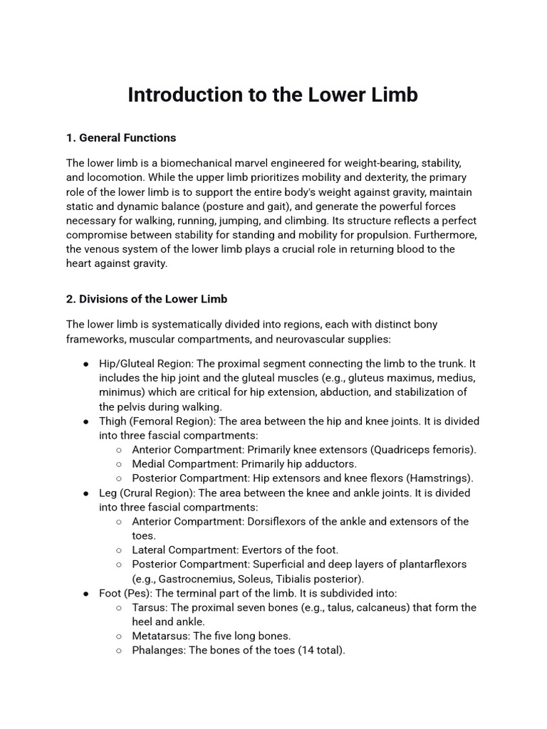 Overview of Lower Limb Anatomy and Function | PDF | Human Leg | Knee