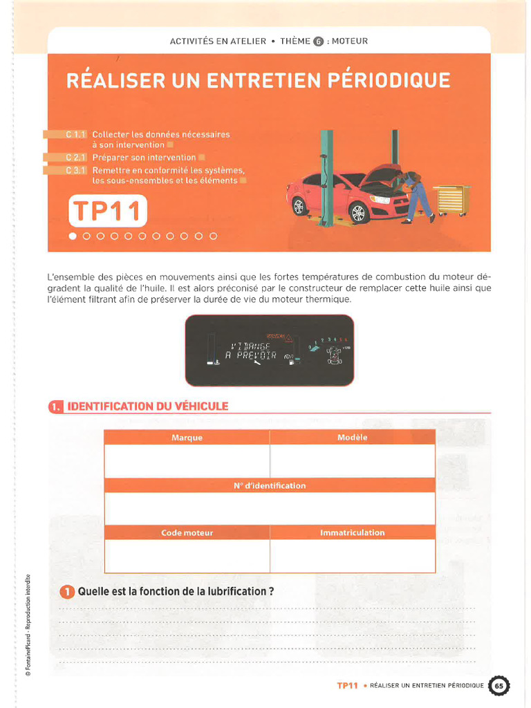 TP 10 | PDF