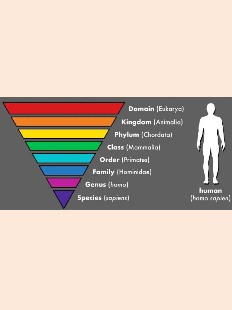 Grade 9 Unit 2 Characteristics and Classification of Organisms | PDF |  Taxonomy (Biology) | Fungus