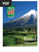 52497292 Strategic Brand Management Kevin Keller Mountain Dew Case Analysis