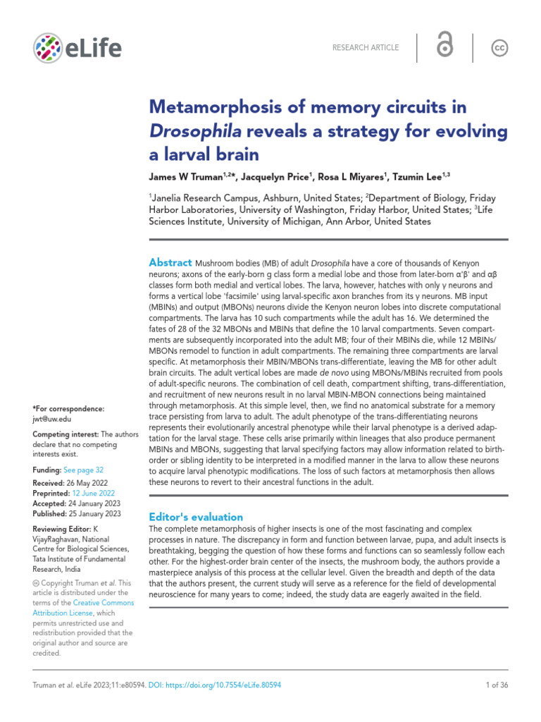 Metamorphosis of Memory Circuits in Drosophila Reveals A Strategy For ...
