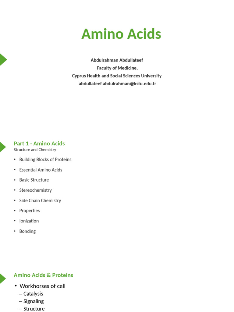 Understanding Amino Acids and Proteins | PDF | Amino Acid | Amine