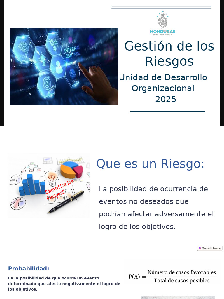 Gestión de Riesgos en Instituciones Públicas | PDF | Riesgo | Probabilidad