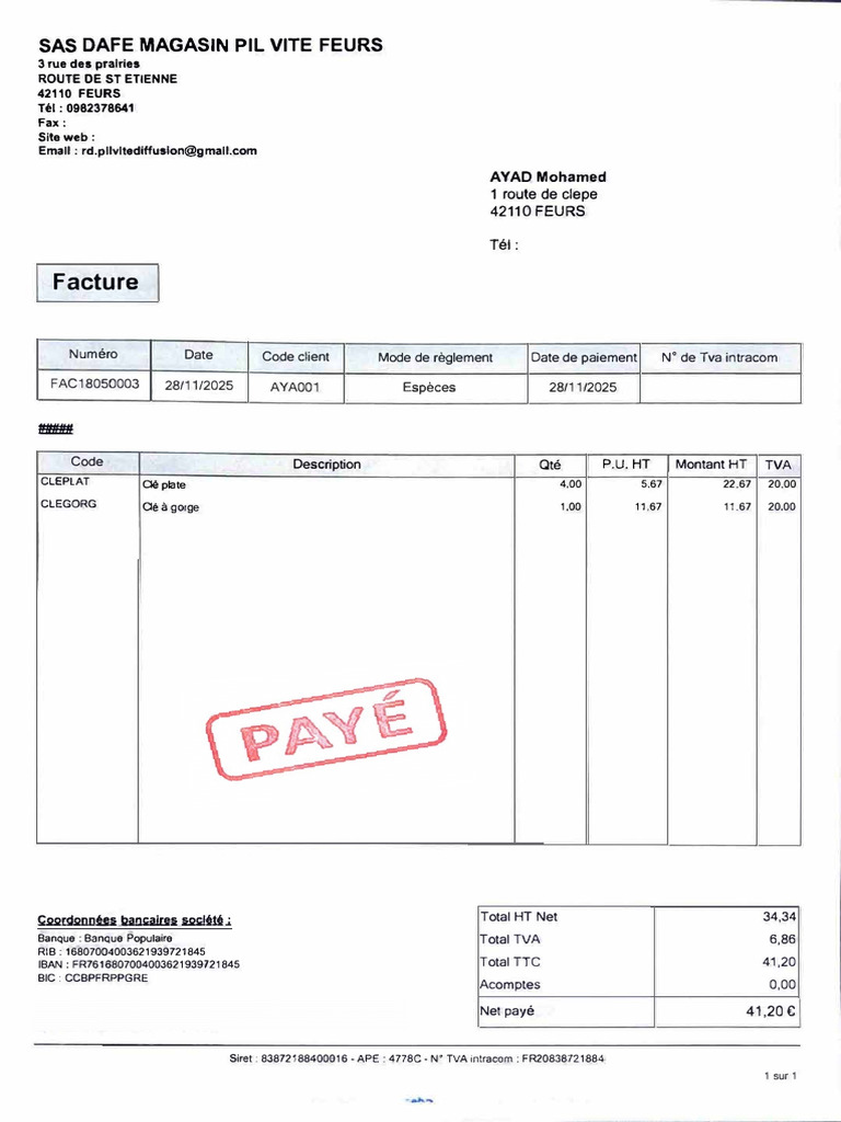 Facture SAS DAFE Magasin Feurs 2025 | PDF