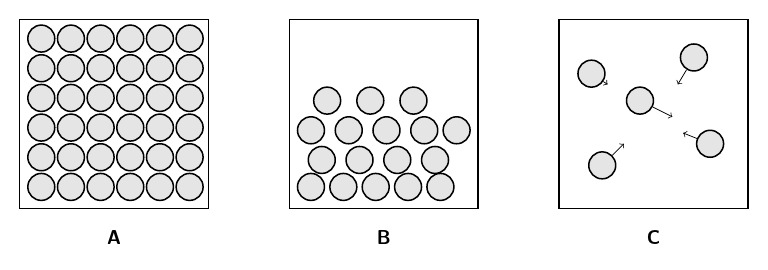 Intermolecular Representation | PDF