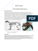 Panthera Leo Spelaea: Physical Characteristics