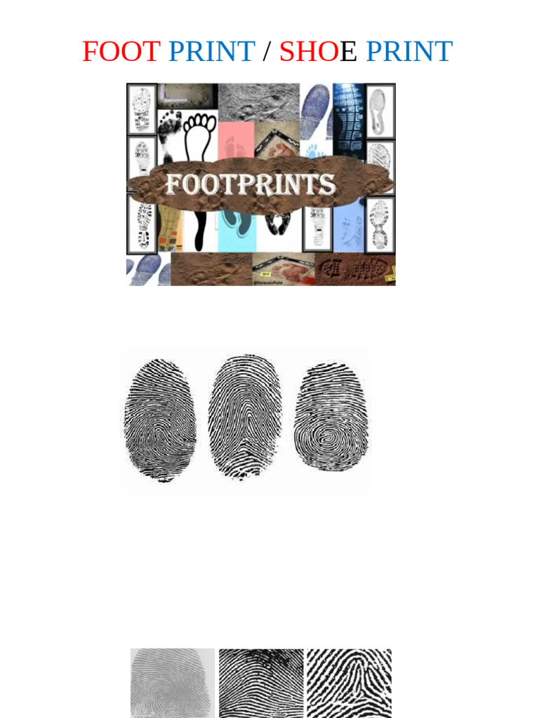 Forensic Footprints and Lip Prints Guide | PDF | Hair | Shoe