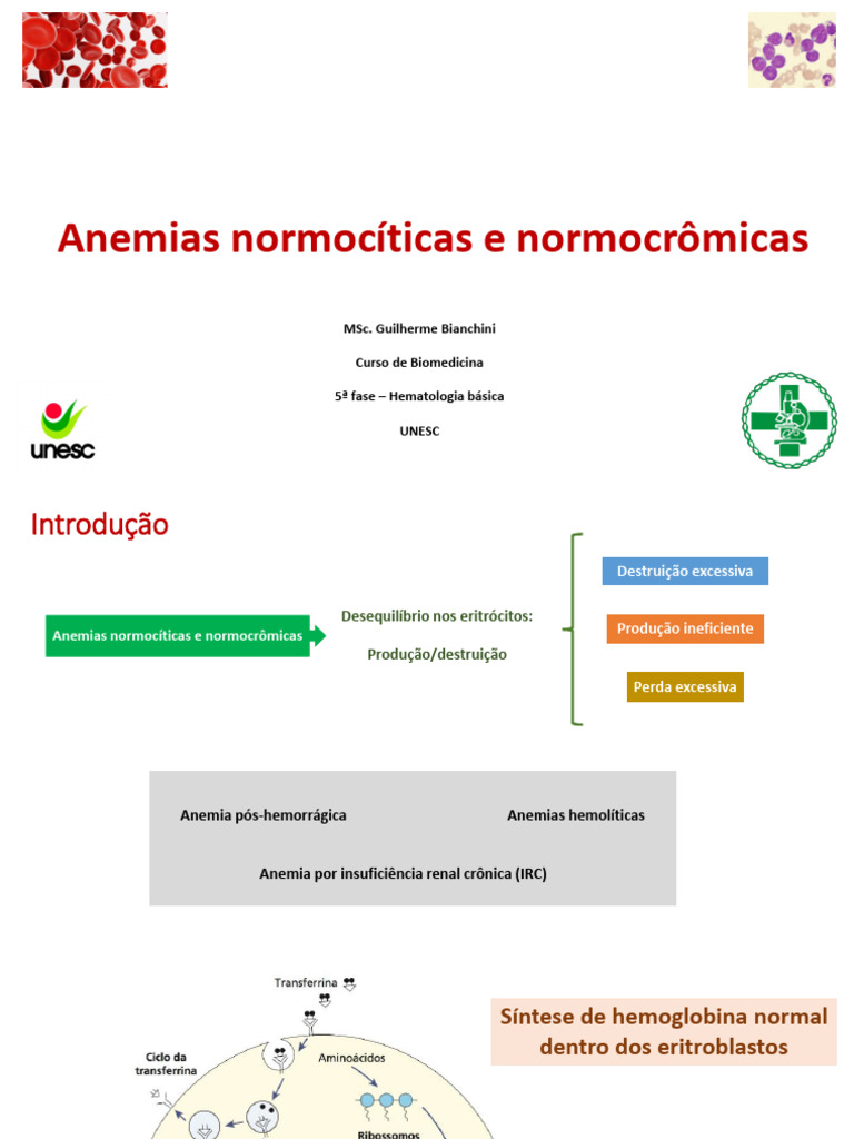 Anemias Normocíticas e Normocrômicas | PDF | Anemia | Hemácia