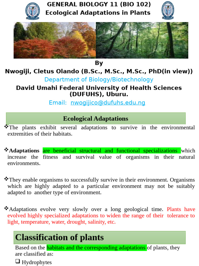 Ecological Adaptations of Plants | PDF | Leaf | Branches Of Botany