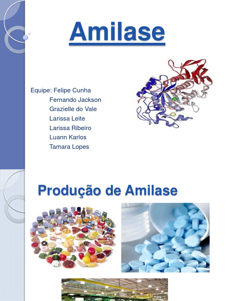 Funções e Aplicações da Amilase | PDF | Amido | Enzima
