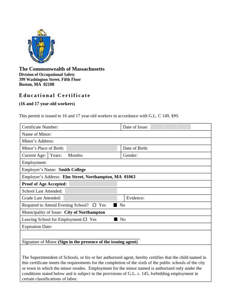 Work Permit Application Merge Source | PDF